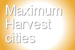 Maximum Harvest